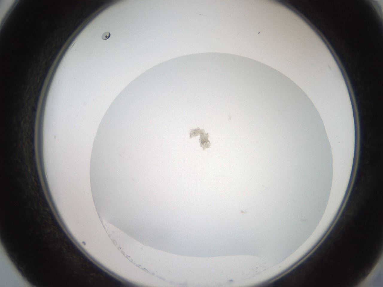 folderID19_plateID3019_batchID16582_wellNum50_profileID1_d2_r252006_ef.jpg