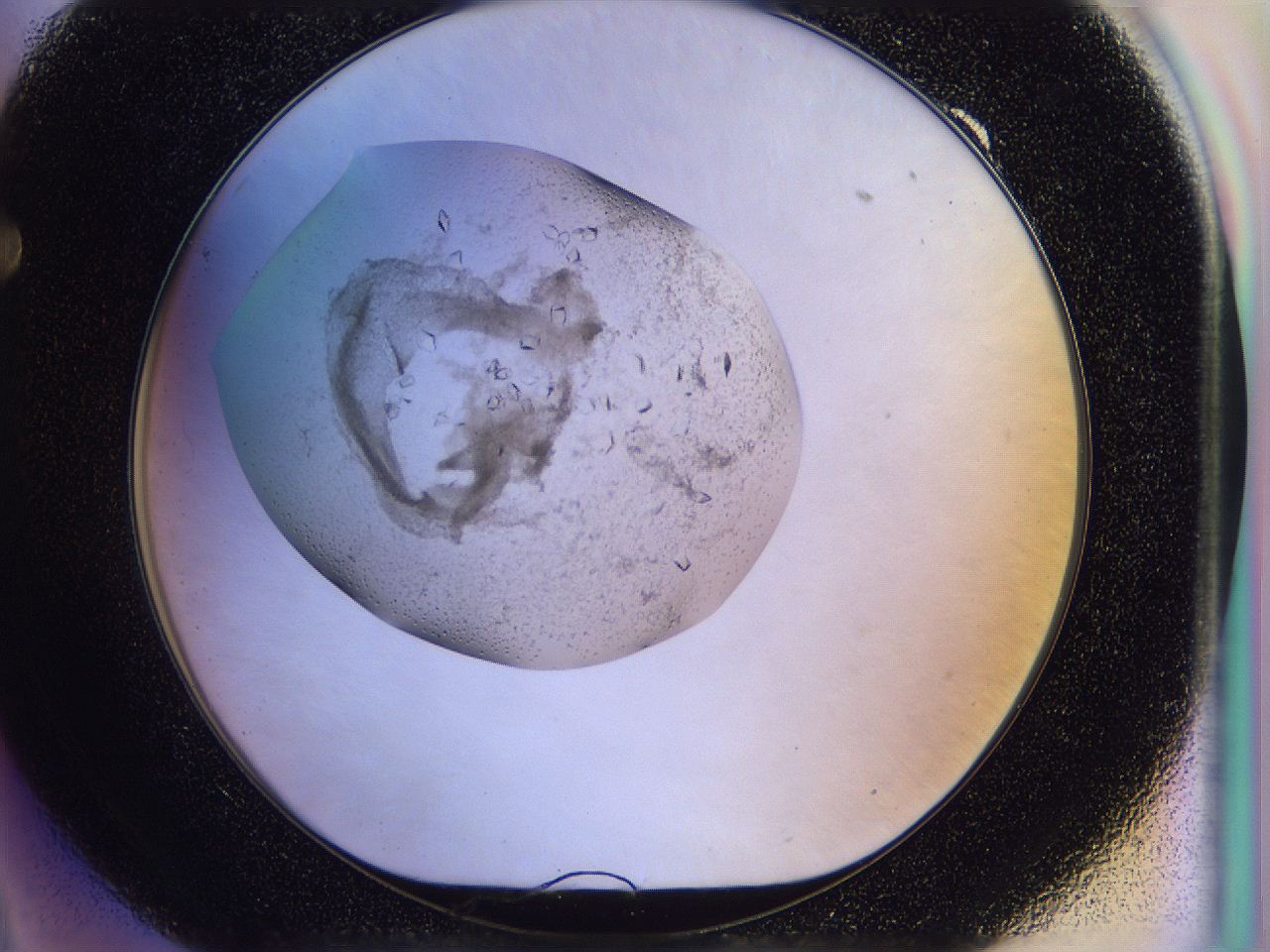 0500_F9_ImagerDefaults_8.jpg