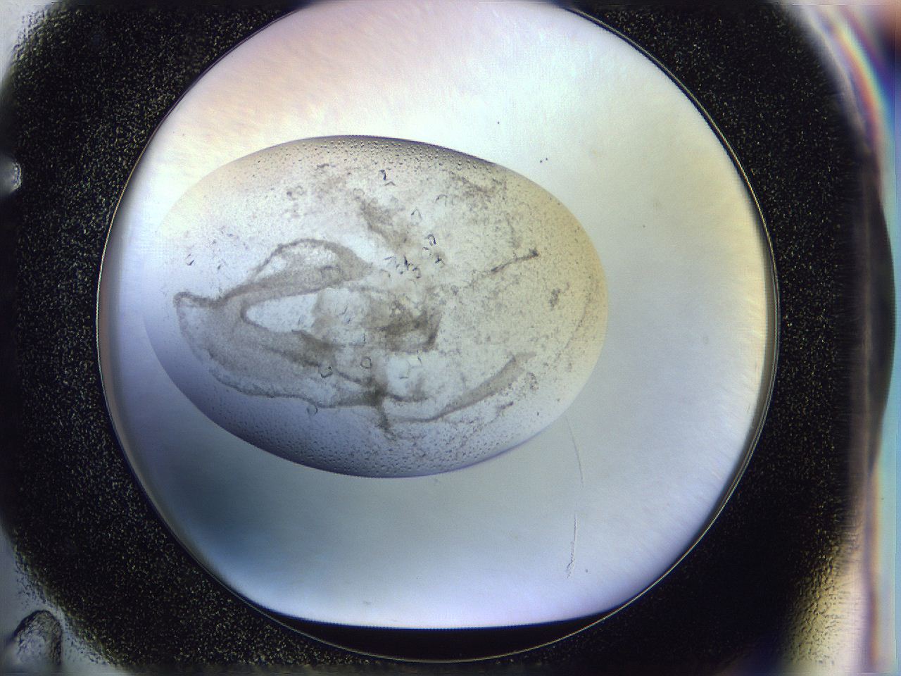 0500_F11_ImagerDefaults_7.jpg