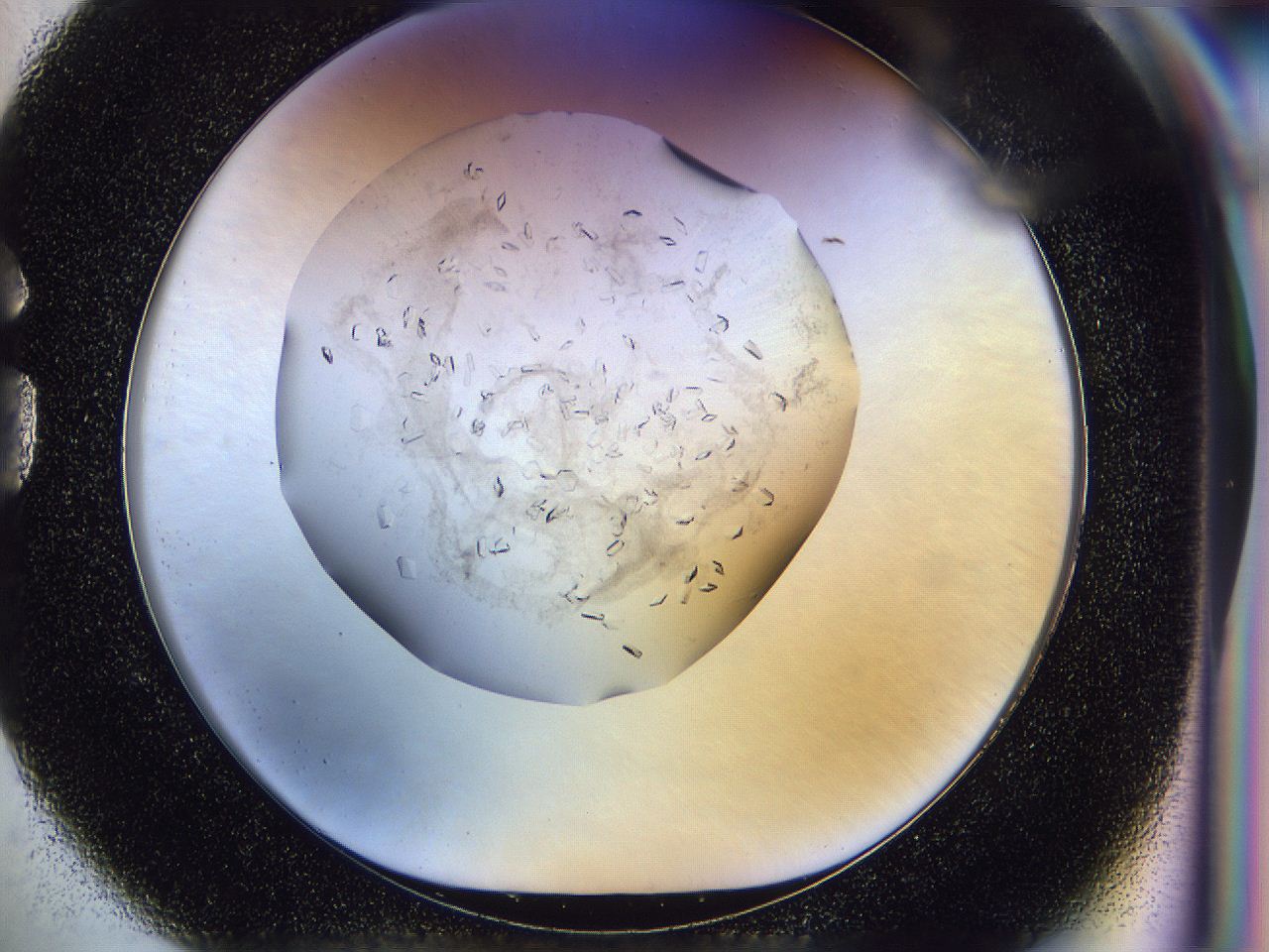 0500_G1_ImagerDefaults_8.jpg