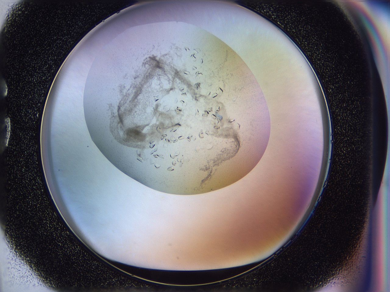 0500_G4_ImagerDefaults_8.jpg