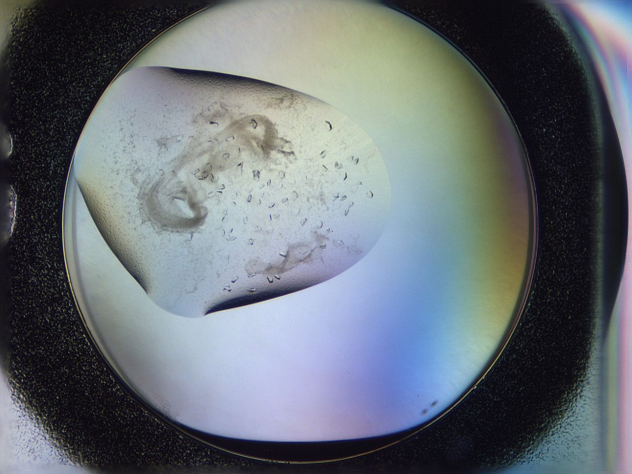 0500_G5_ImagerDefaults_8.jpg