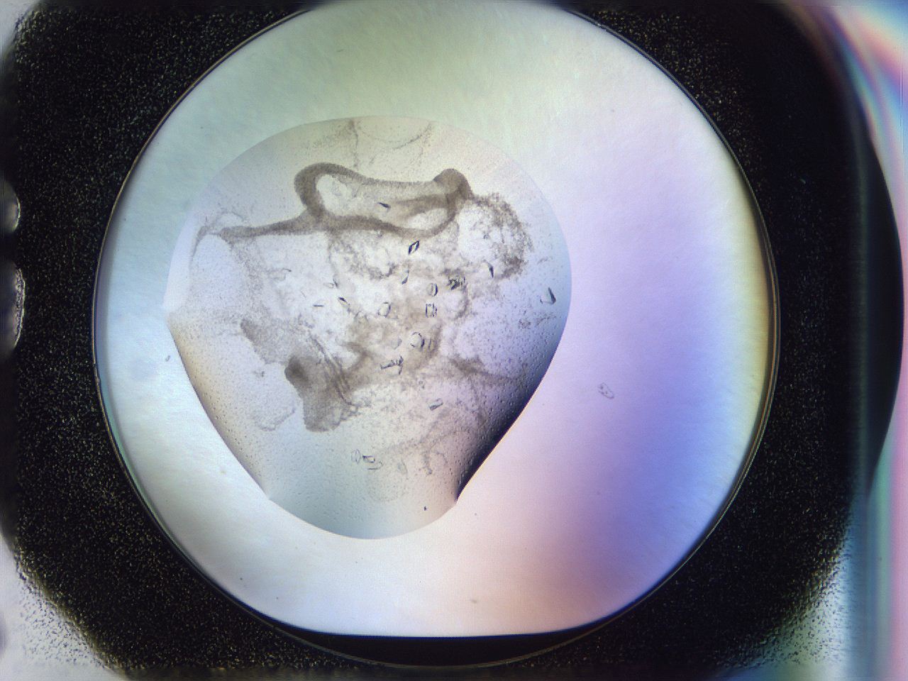 0500_G6_ImagerDefaults_8.jpg