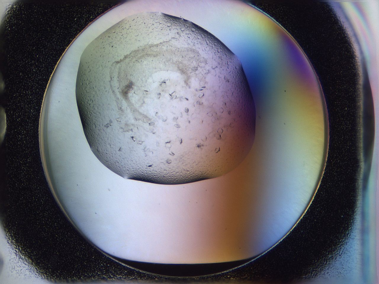 0500_G7_ImagerDefaults_7.jpg