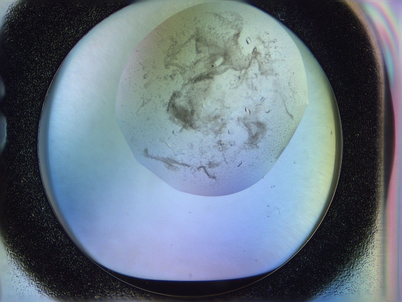 0500_G8_ImagerDefaults_7.jpg