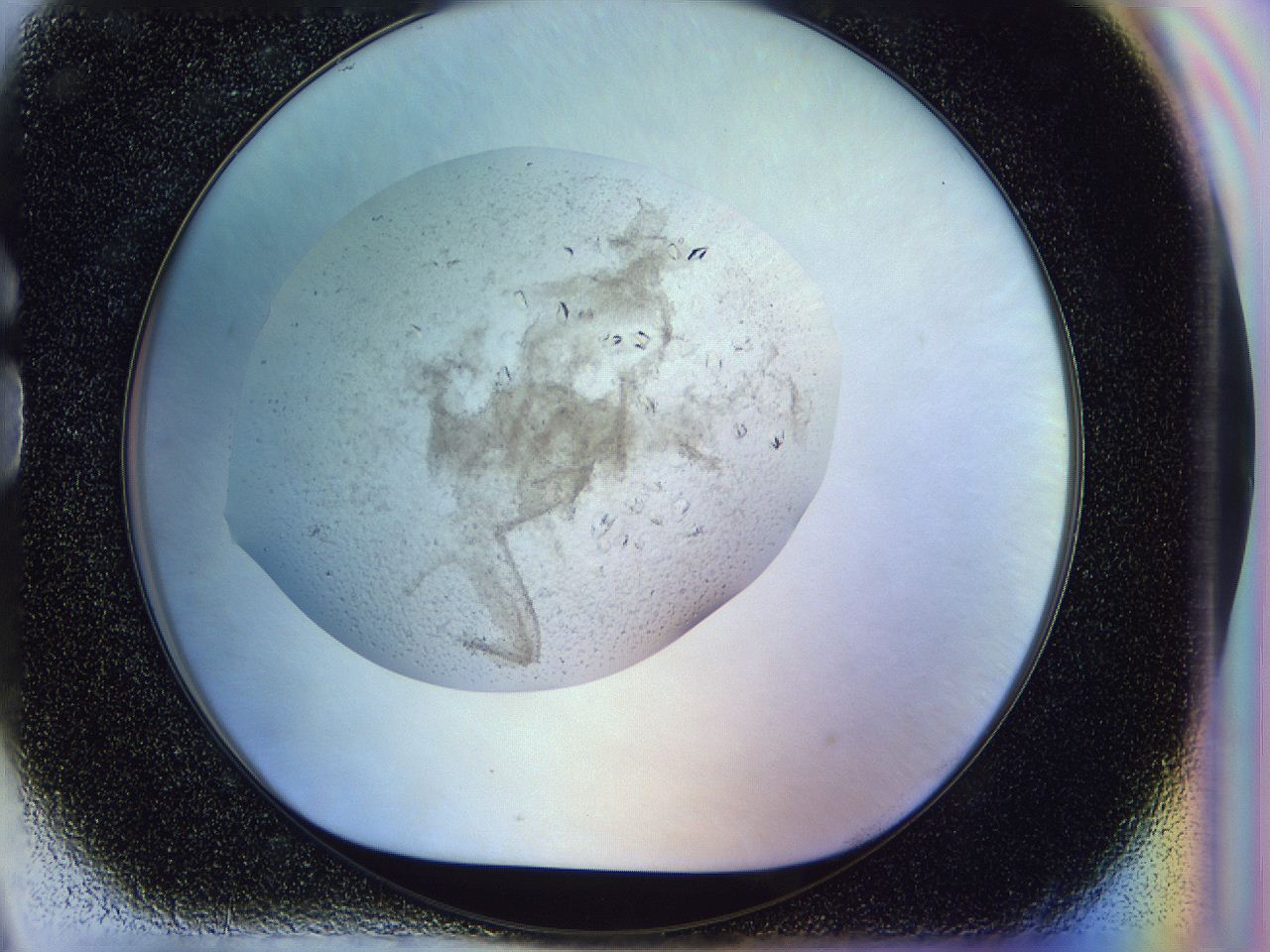 0500_G9_ImagerDefaults_7.jpg