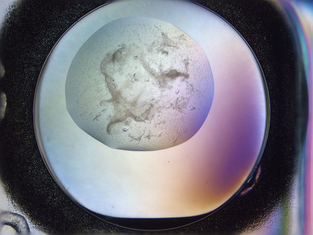 0500_G10_ImagerDefaults_7.jpg
