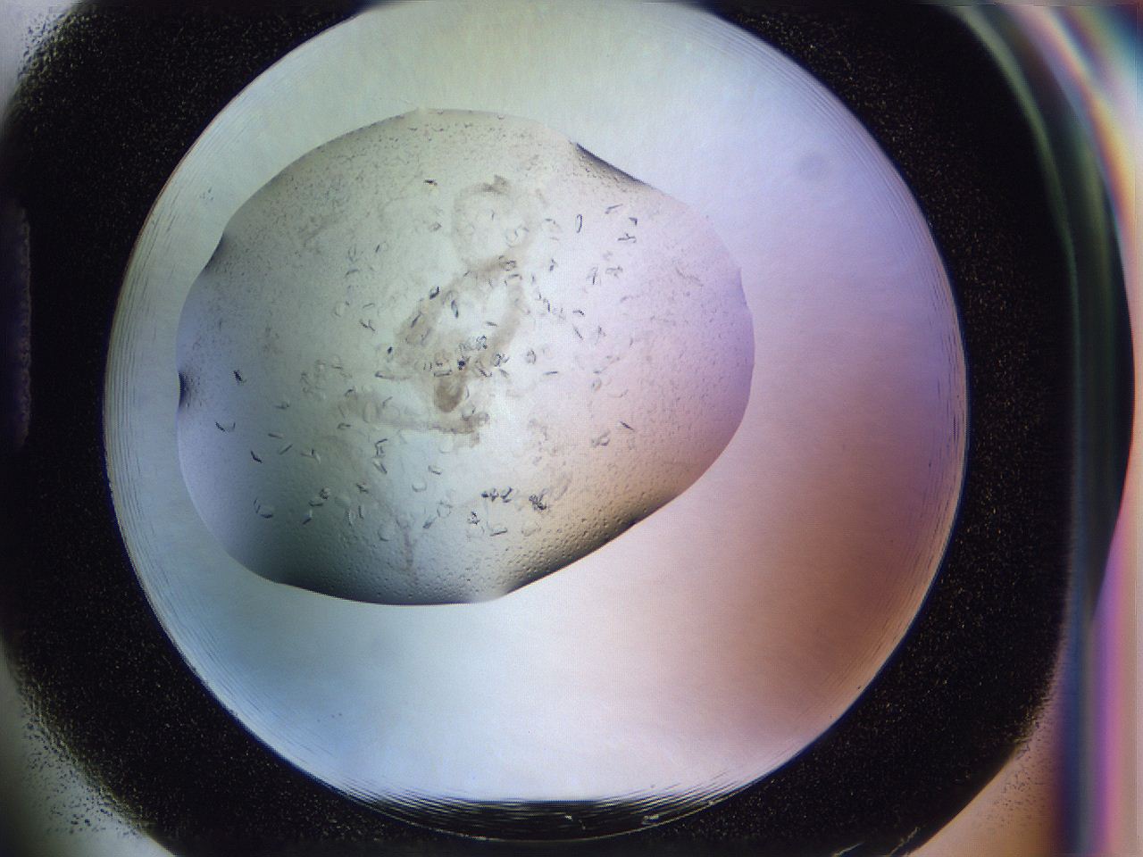 0500_H1_ImagerDefaults_7.jpg