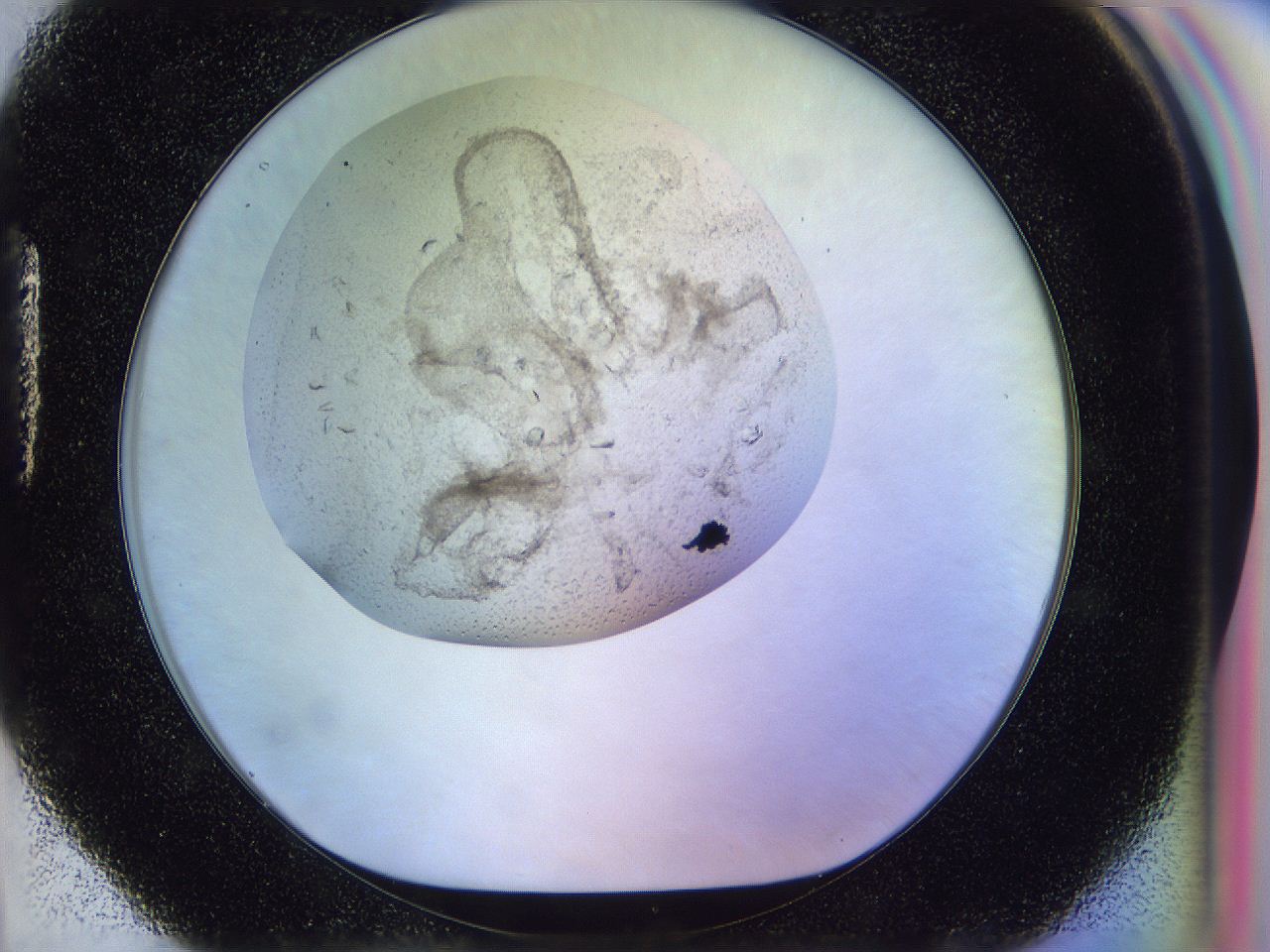 0500_H4_ImagerDefaults_7.jpg