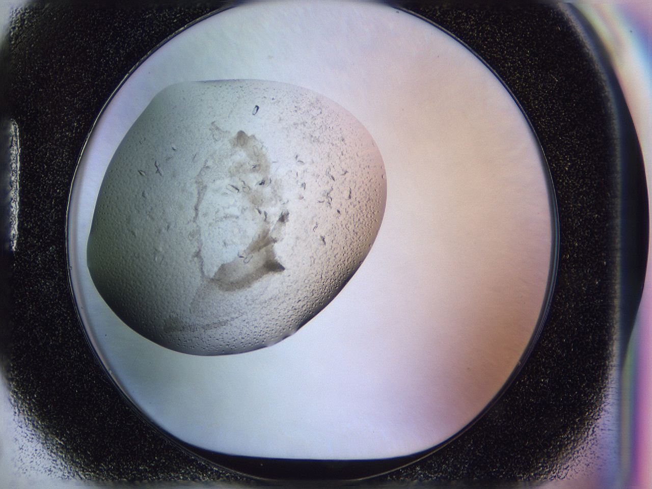 0500_H5_ImagerDefaults_7.jpg