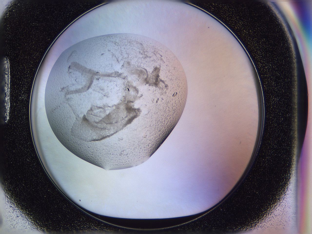 0500_H6_ImagerDefaults_7.jpg