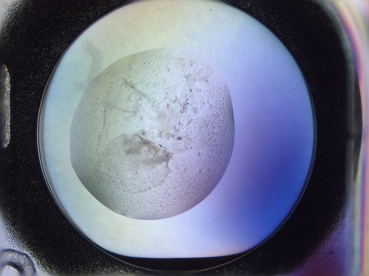0500_H10_ImagerDefaults_7.jpg