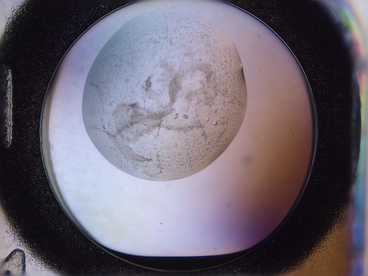 0500_H11_ImagerDefaults_7.jpg