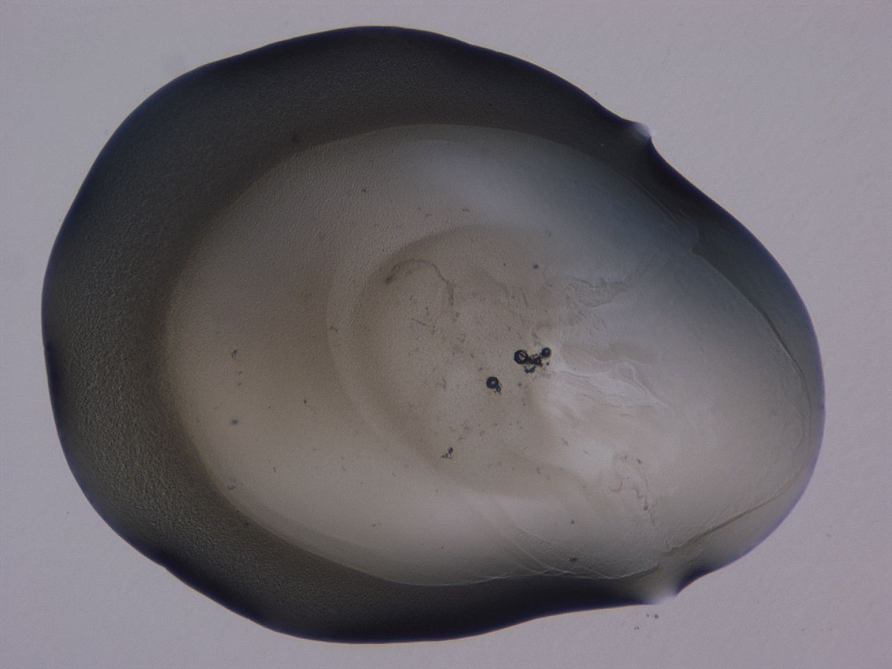 0506_A5_ImagerDefaults_3.jpg