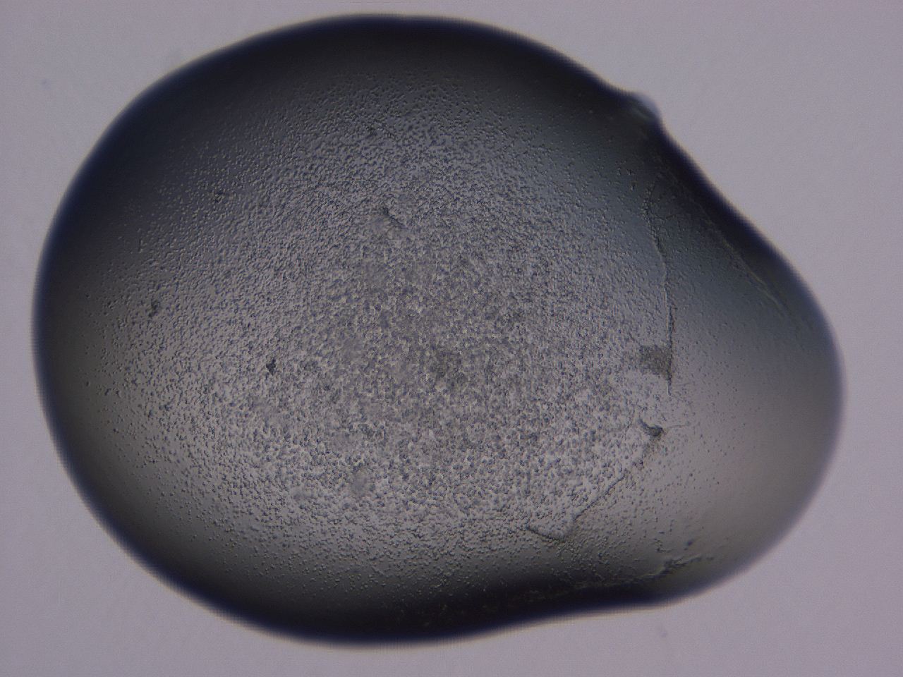 0506_A4_ImagerDefaults_3.jpg