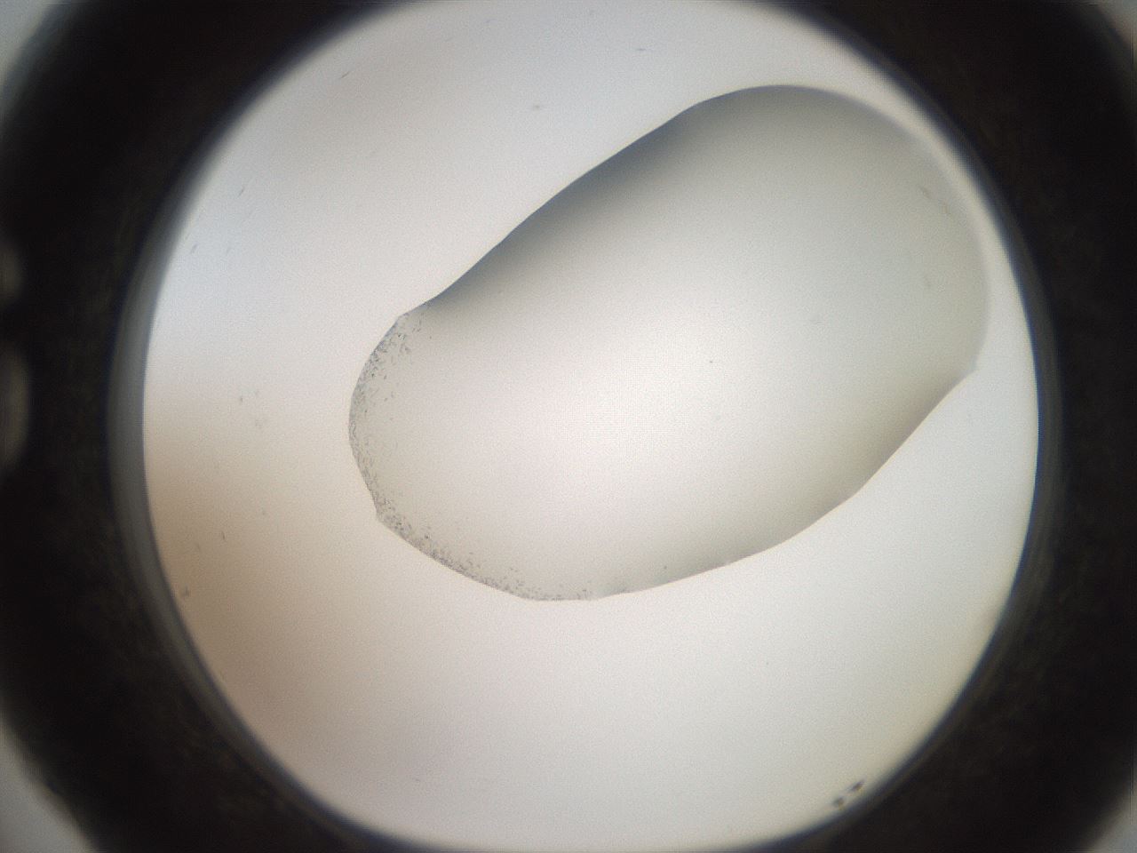 folderID206_plateID2206_batchID9753_wellNum77_profileID1_d1_r149903_ef.jpg