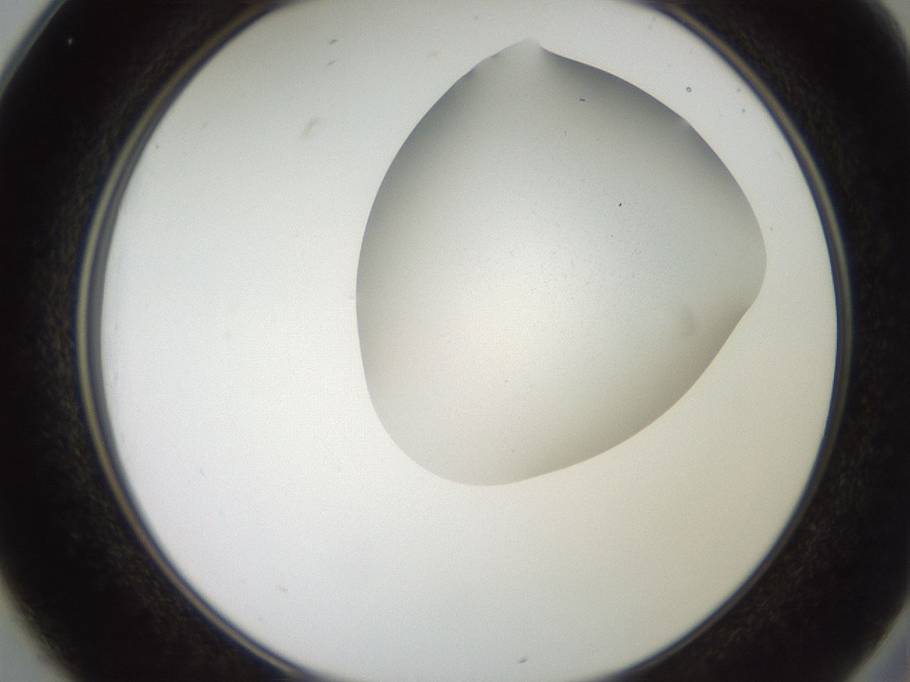 folderID206_plateID2206_batchID9827_wellNum25_profileID1_d2_r149800_ef.jpg