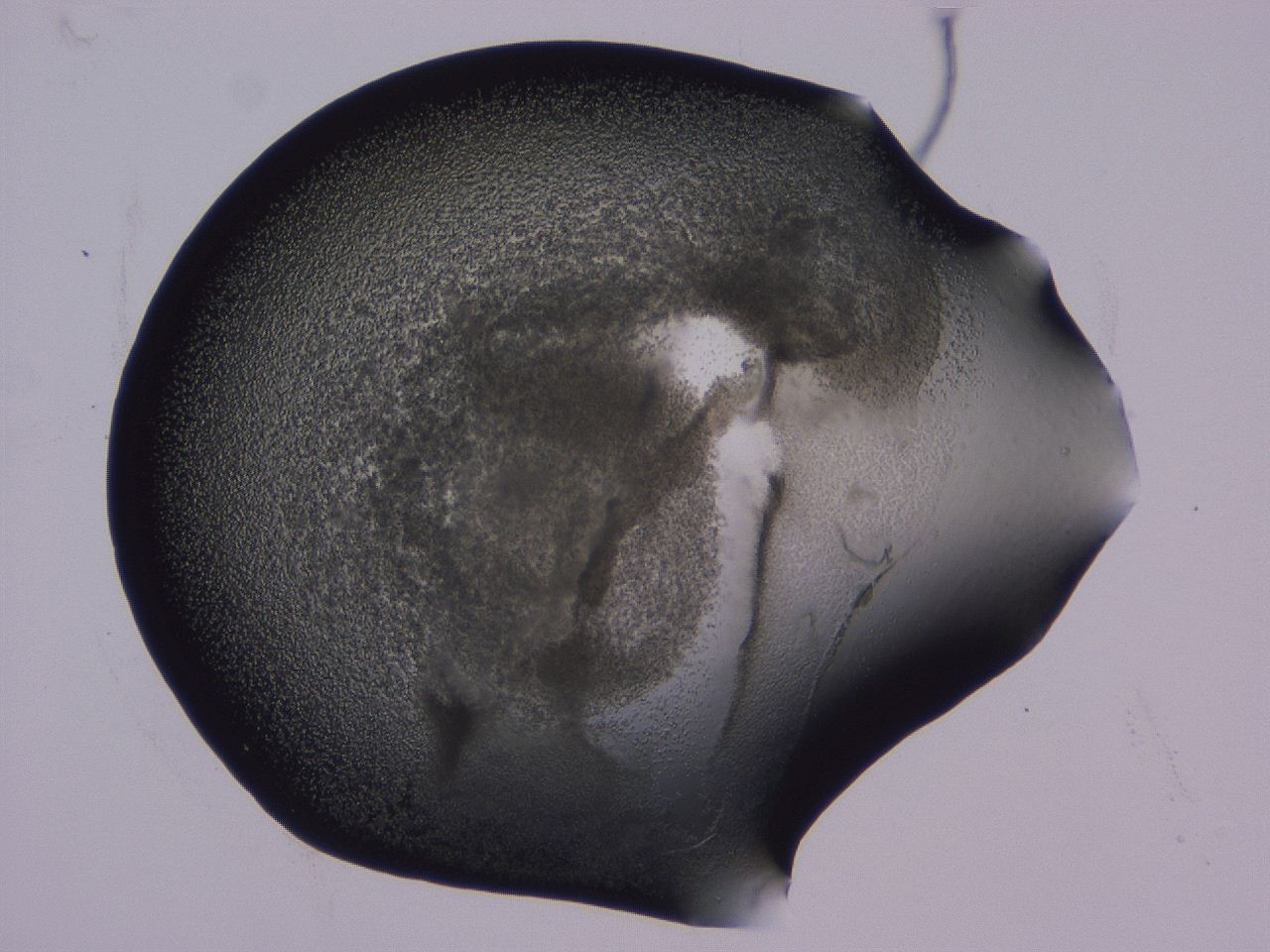 0506_C6_ImagerDefaults_3.jpg