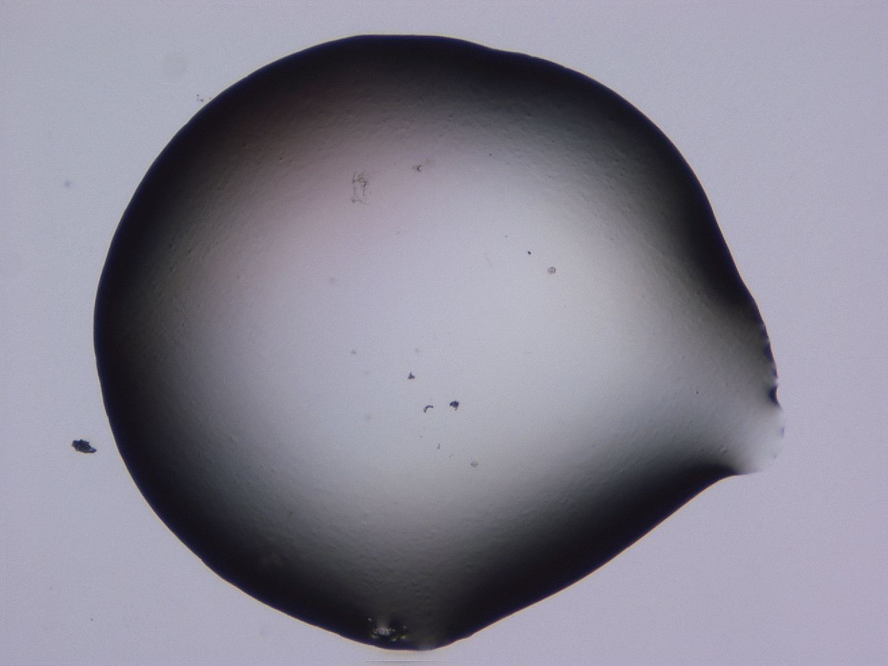 0506_C4_ImagerDefaults_0.jpg