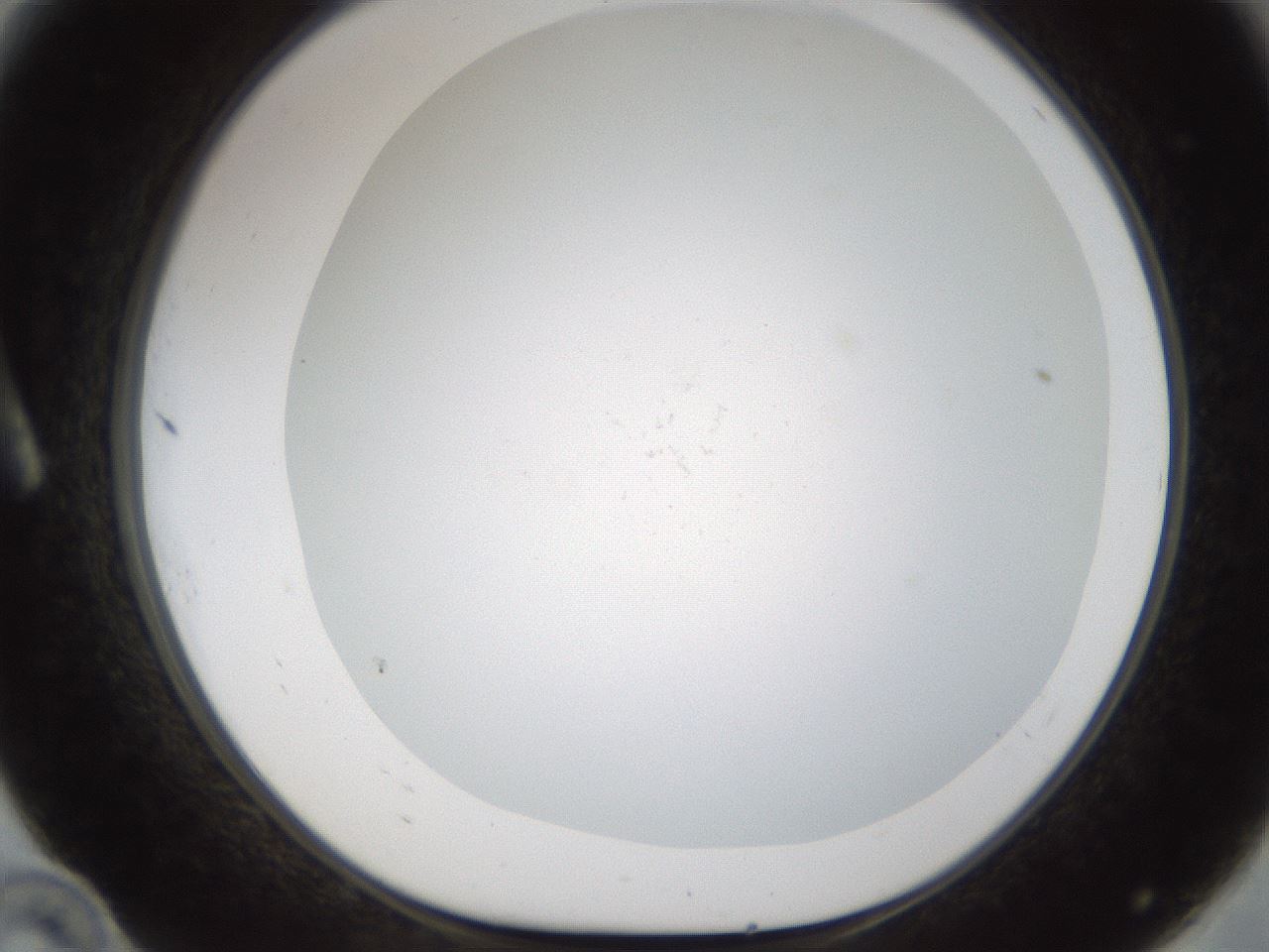 folderID211_plateID1211_batchID4431_wellNum10_profileID1_d1_r67346_ef.jpg