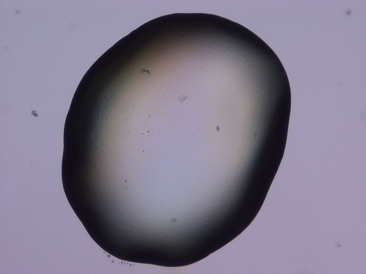 0506_C2_ImagerDefaults_0.jpg
