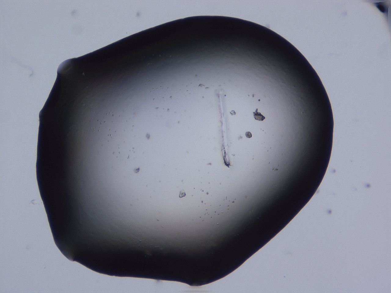 0506_C1_ImagerDefaults_0.jpg