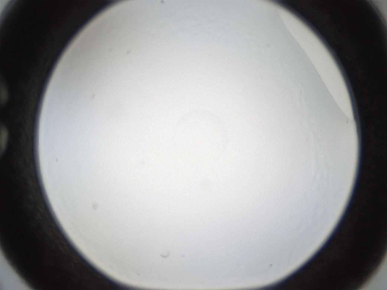 folderID214_plateID1214_batchID3474_wellNum30_profileID1_d1_r69594_ef.jpg