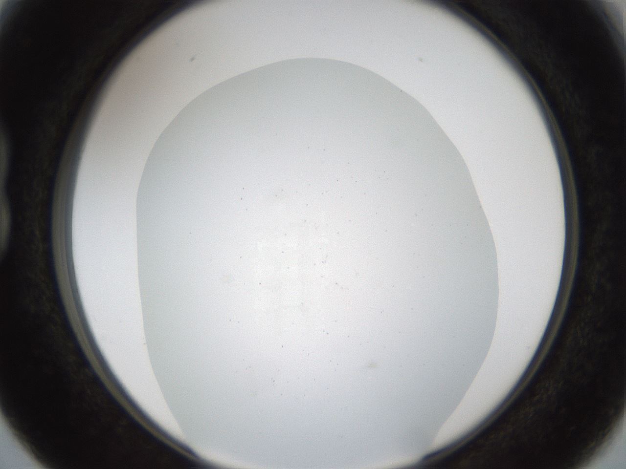 folderID214_plateID1214_batchID4449_wellNum15_profileID1_d1_r69564_ef.jpg