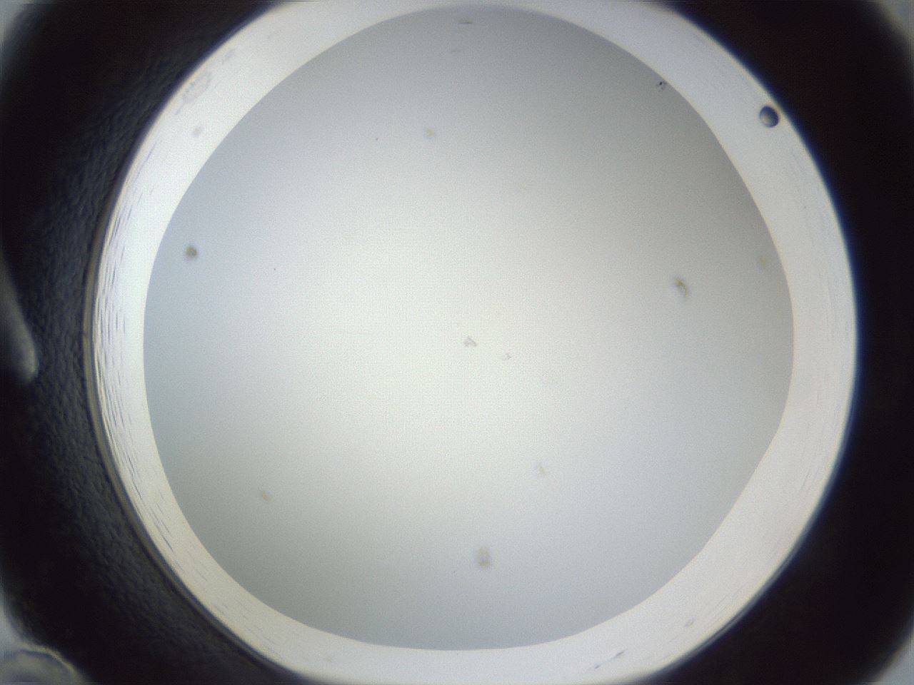 folderID215_plateID1215_batchID3581_wellNum12_profileID1_d1_r67158_ef.jpg