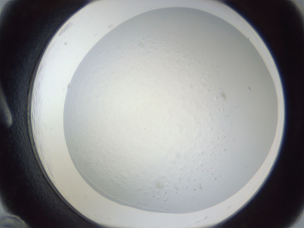 folderID216_plateID1216_batchID4433_wellNum12_profileID1_d1_r68118_ef.jpg