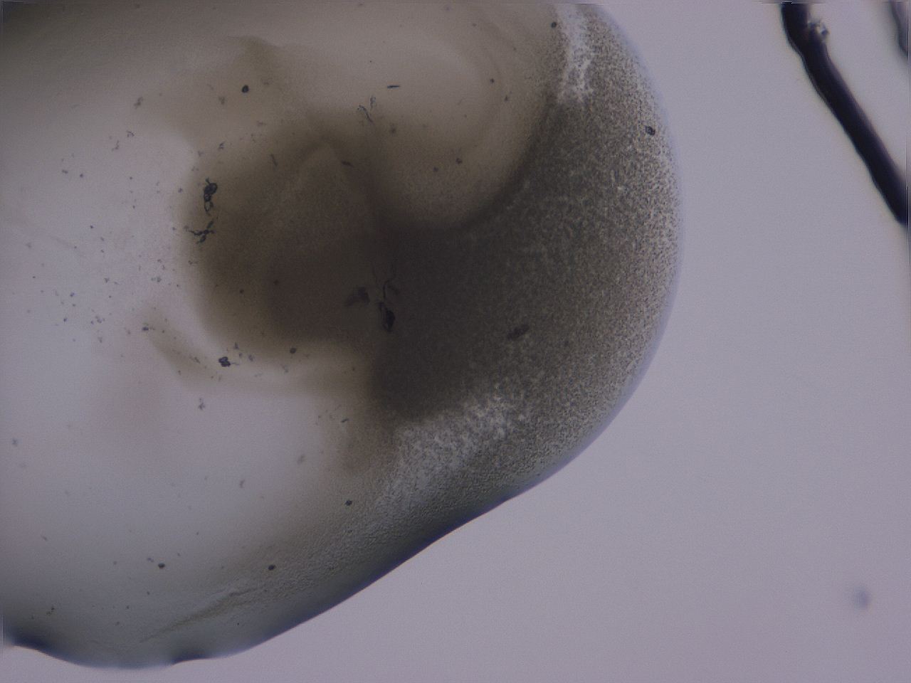 0506_B1_ImagerDefaults_3.jpg