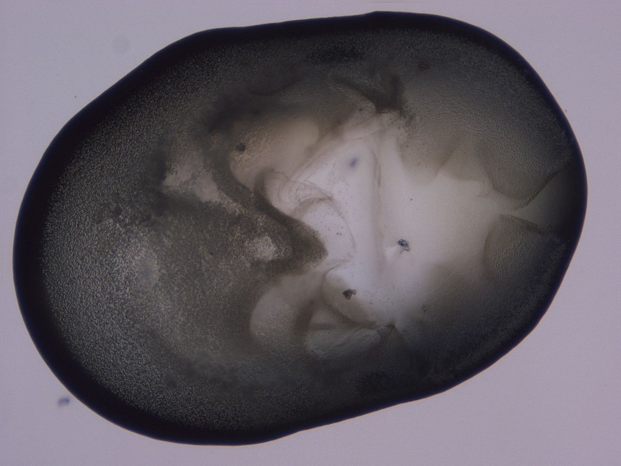 0506_D6_ImagerDefaults_3.jpg
