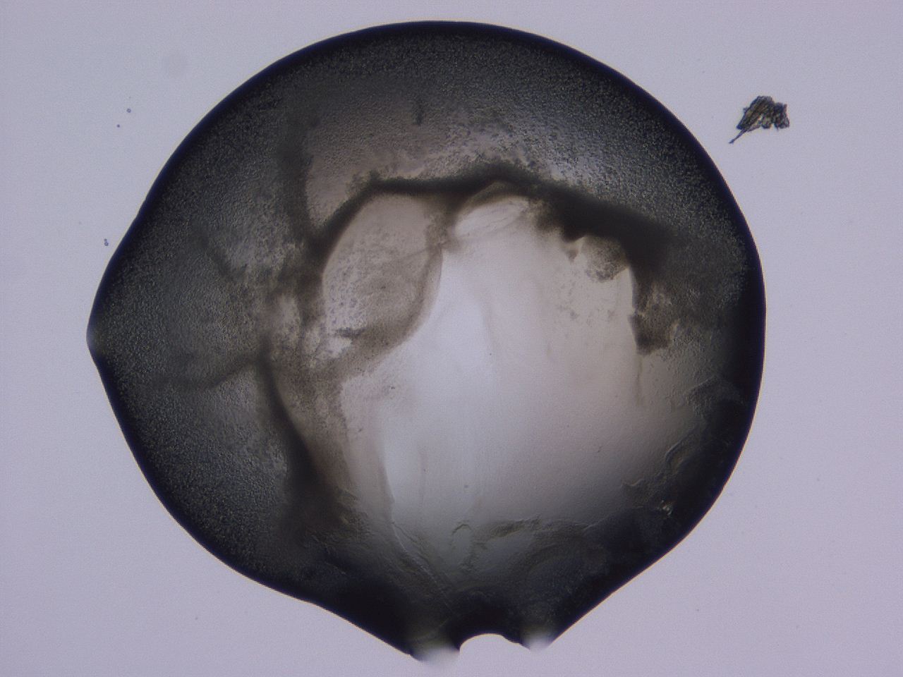 0506_D10_ImagerDefaults_3.jpg