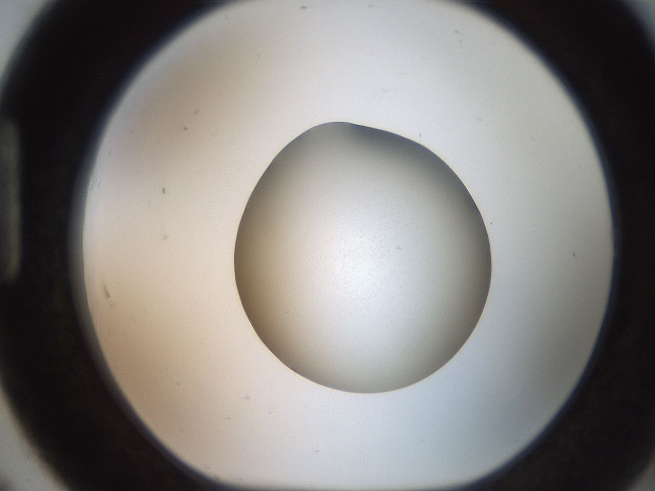 folderID233_plateID2233_batchID10046_wellNum91_profileID1_d1_r154357_ef.jpg