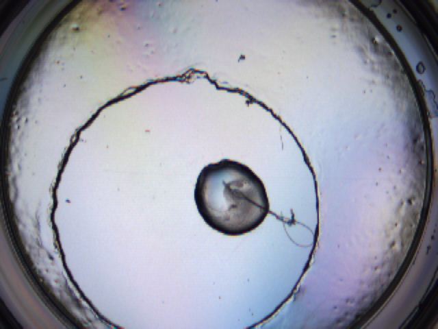 0506_D1_ImagerDefaults_3.jpg