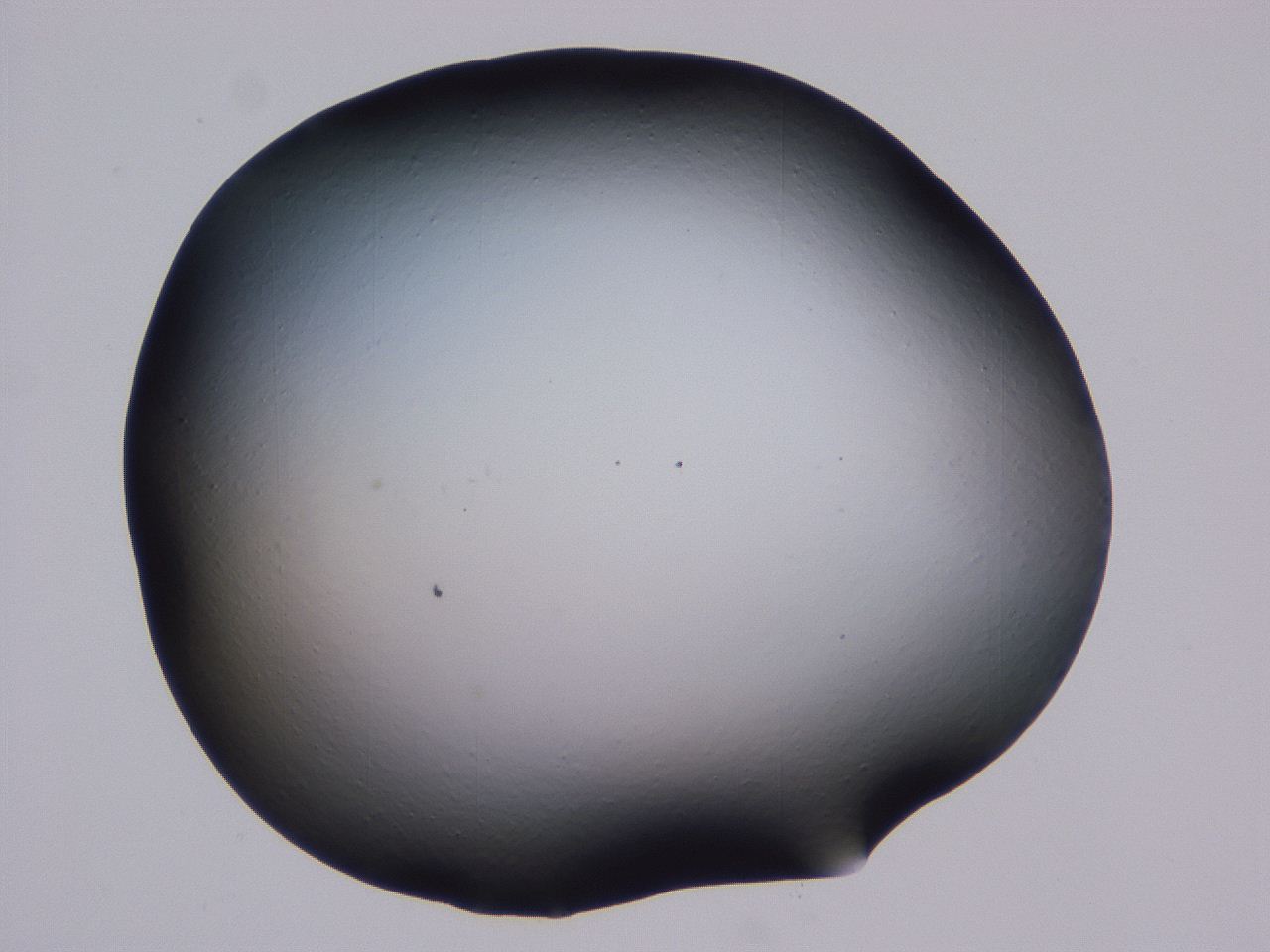 0506_B6_ImagerDefaults_0.jpg