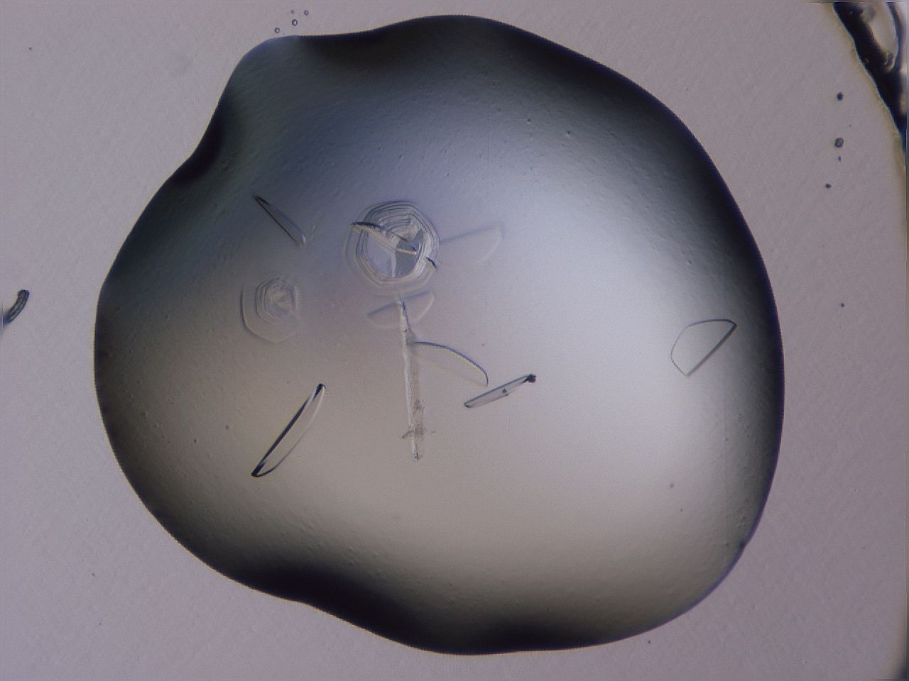 0506_A1_ImagerDefaults_9.jpg