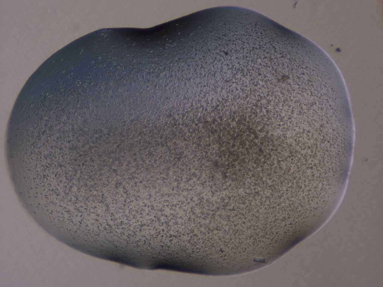 0506_A2_ImagerDefaults_9.jpg