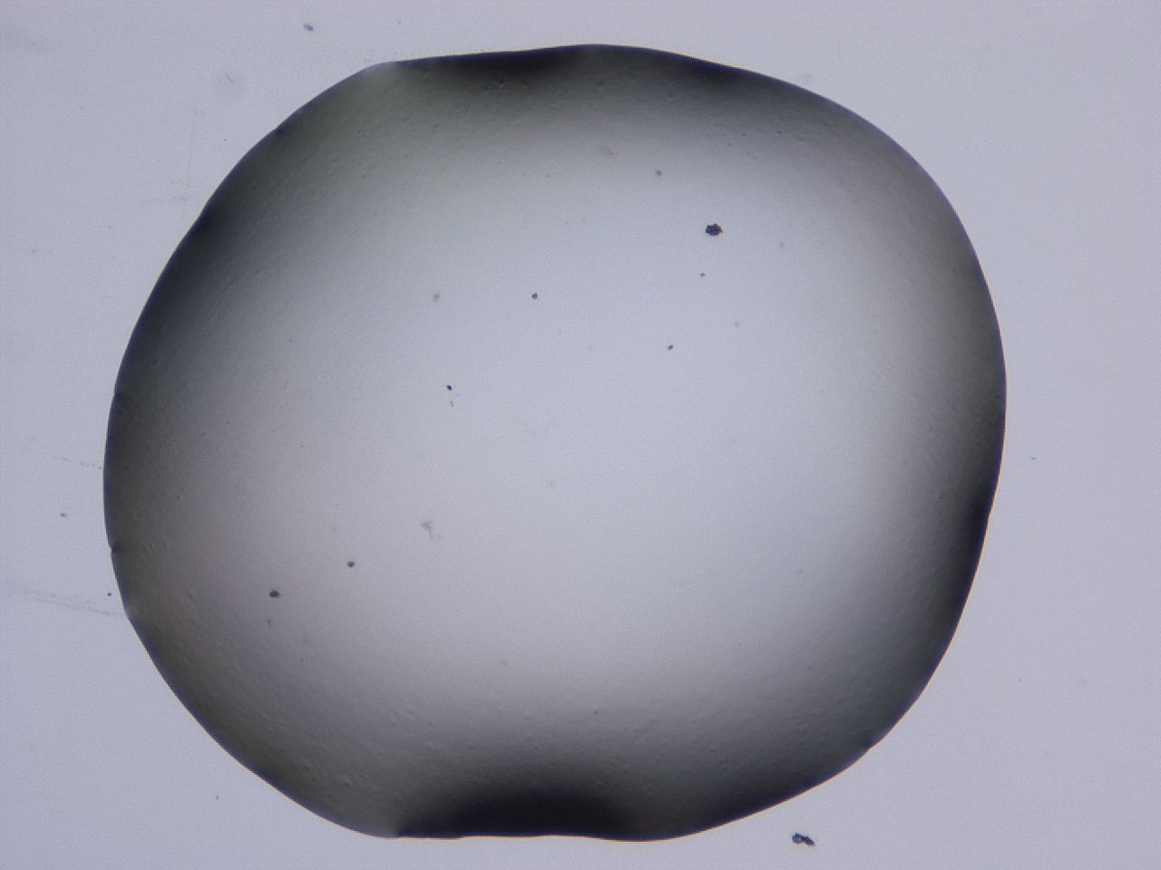 0506_B9_ImagerDefaults_0.jpg
