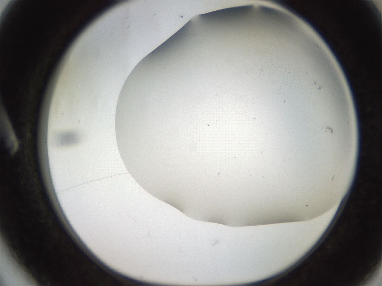 folderID235_plateID2235_batchID9984_wellNum6_profileID1_d1_r154464_ef.jpg