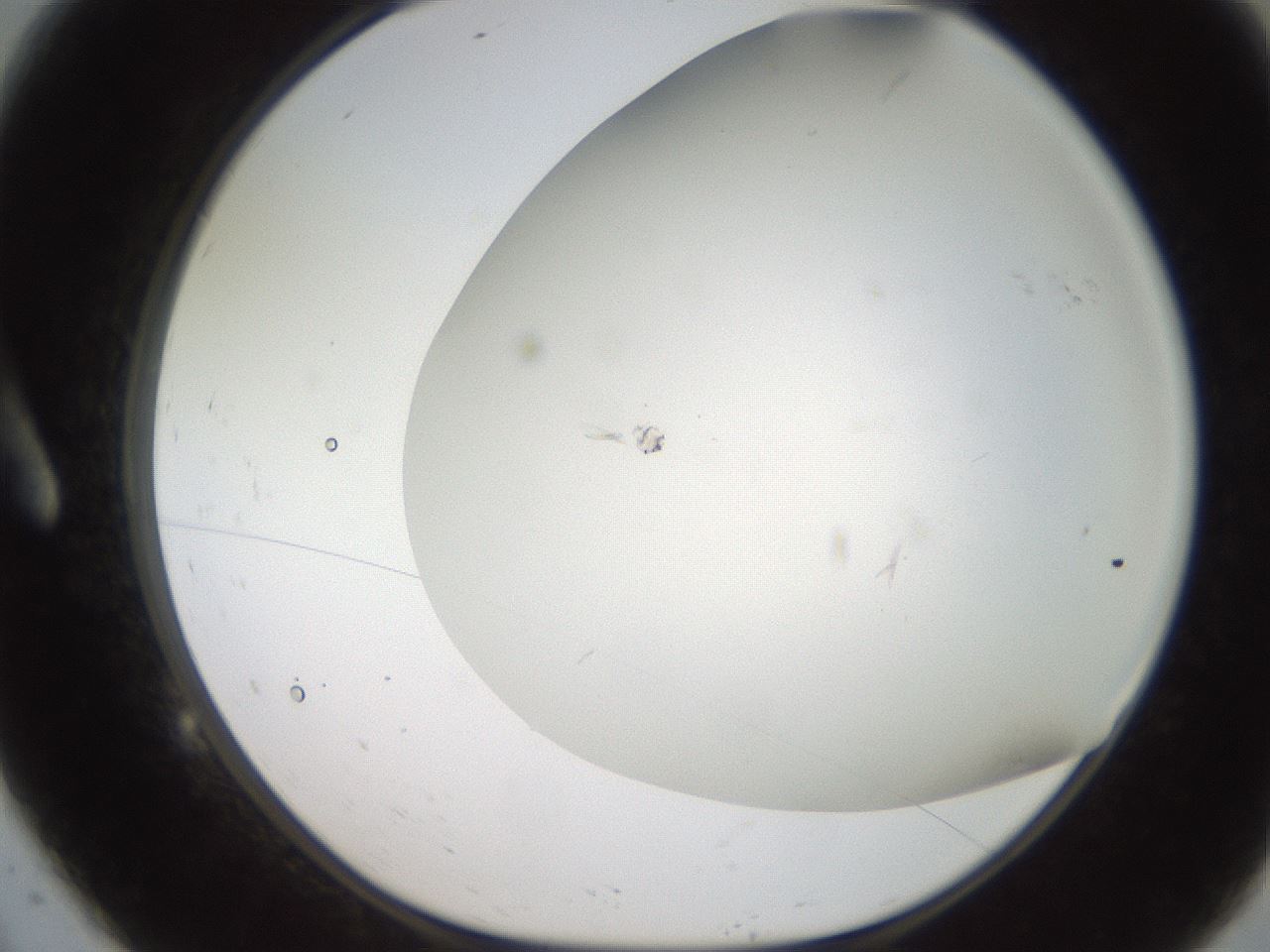 folderID236_plateID2236_batchID9985_wellNum9_profileID1_d1_r154563_ef.jpg