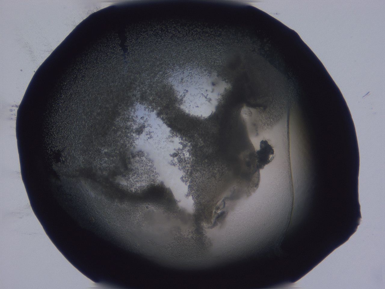 0506_E4_ImagerDefaults_3.jpg