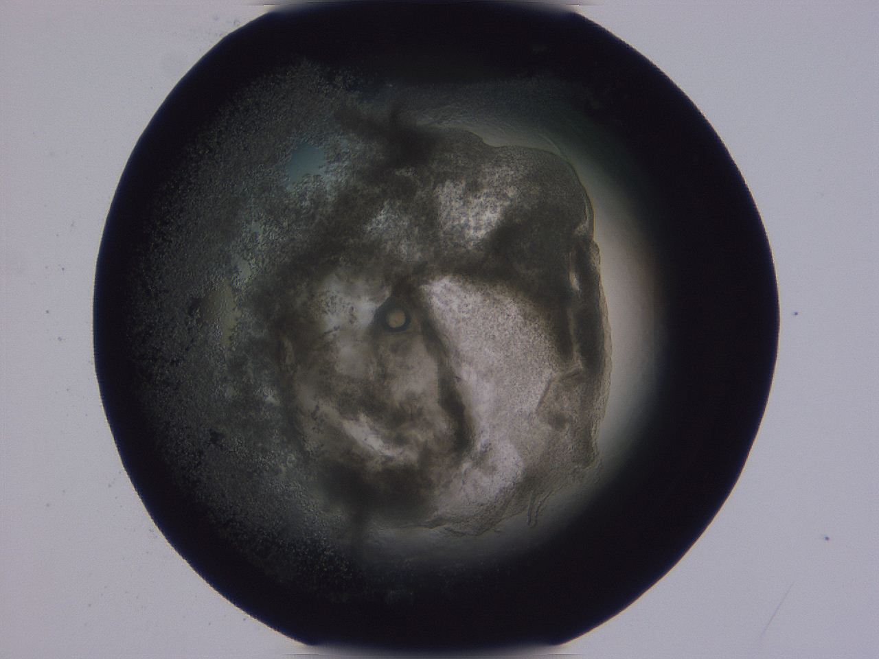 0506_F4_ImagerDefaults_3.jpg