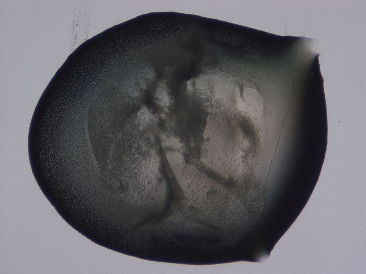 0506_F5_ImagerDefaults_3.jpg