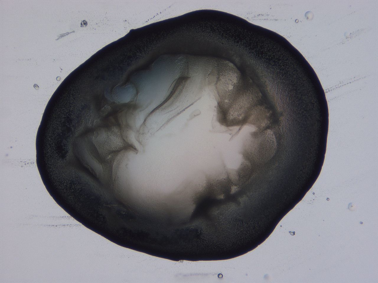 0506_F8_ImagerDefaults_3.jpg