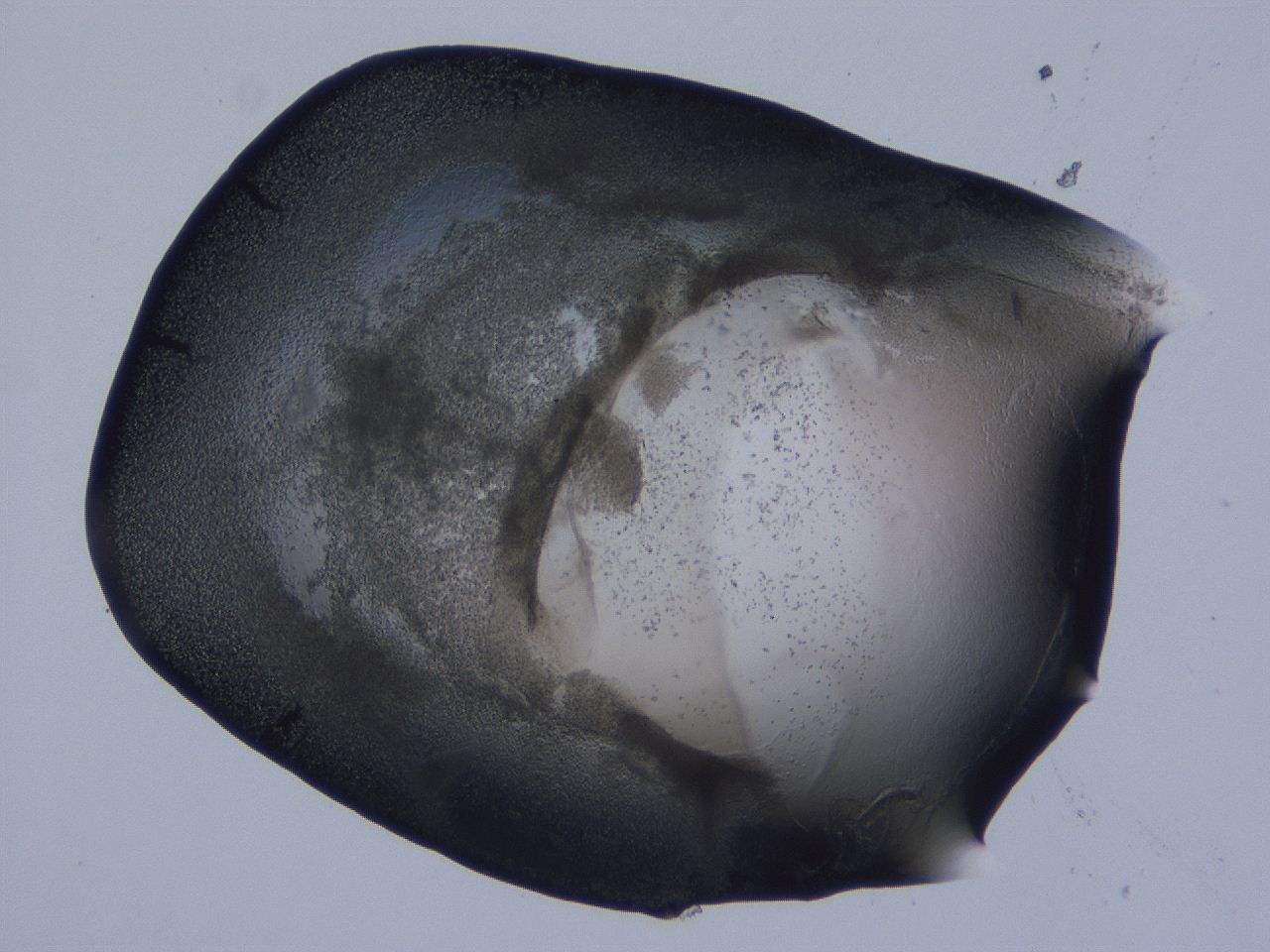 0506_F10_ImagerDefaults_3.jpg
