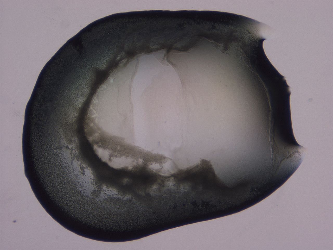 0506_F11_ImagerDefaults_3.jpg
