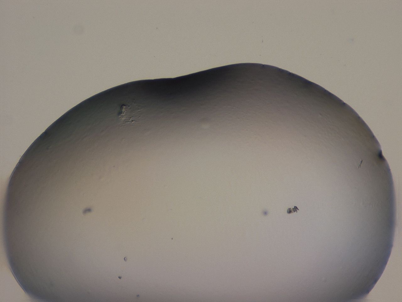 0506_G2_ImagerDefaults_0.jpg