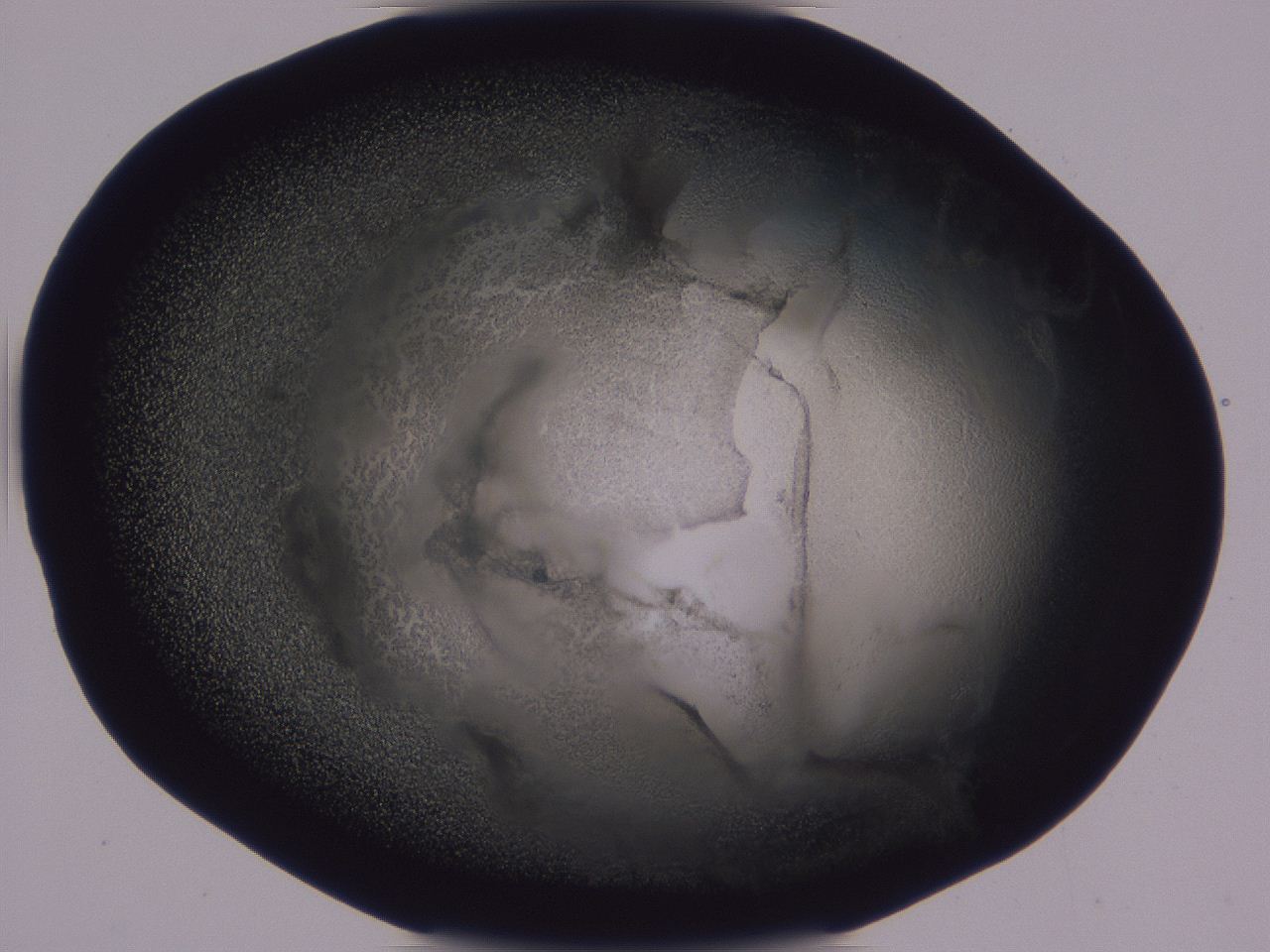 0506_G4_ImagerDefaults_3.jpg