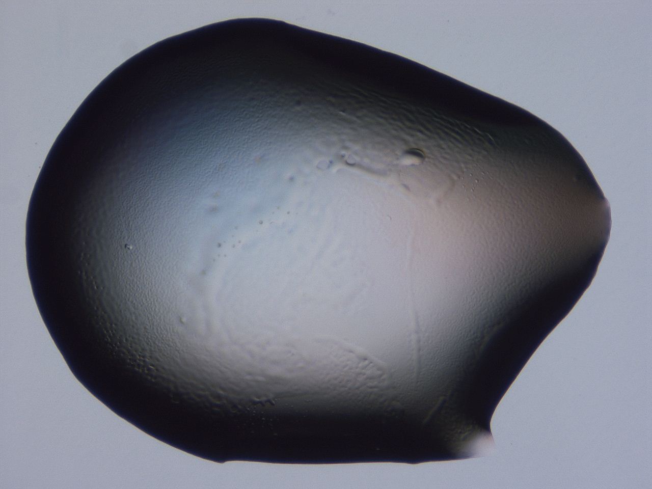 0506_G5_ImagerDefaults_2.jpg